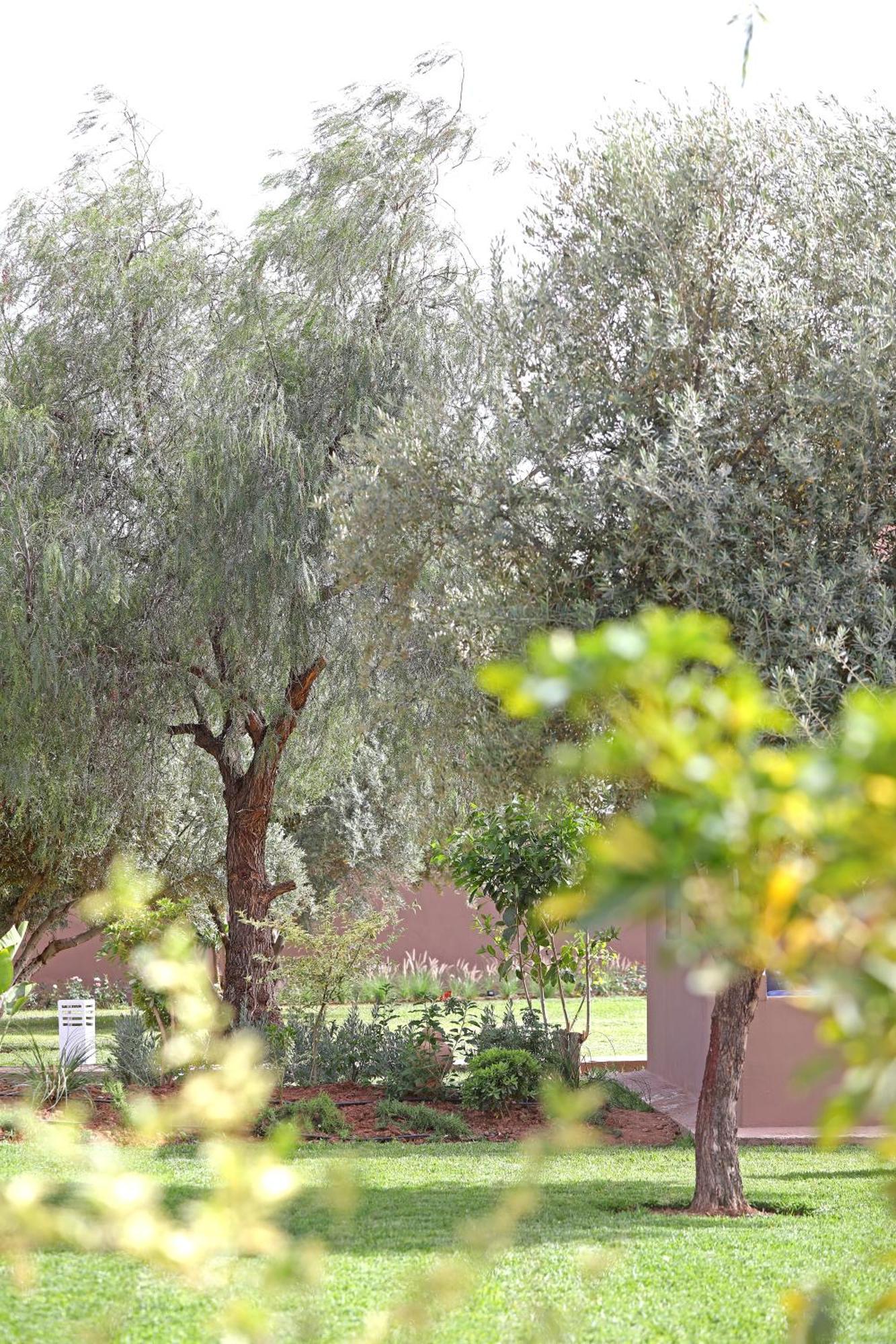 Domaine Du Douar Hotel Chwiter Exterior foto
